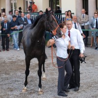 Dick Turpin dopo lo sforzo della corsa