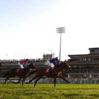 Frankie Dettori on Campanologist
