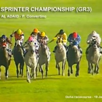 sprinter