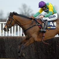 Kauto_Star11.jpg