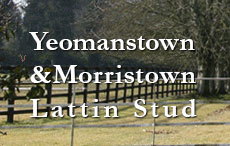 Yeomanstown