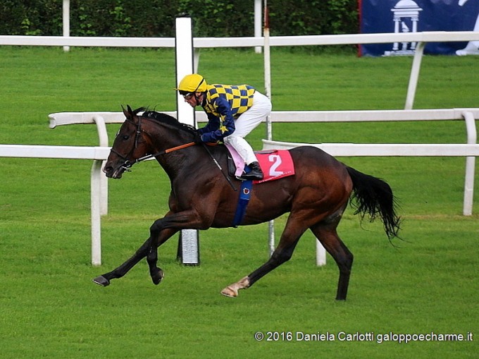 Lanfranco Dettori vince il GP di Milano 2016 in sella a Dylan Mouth