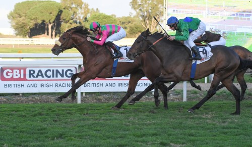 anda-muchacho-vincitore-premio-roma-gbiracing