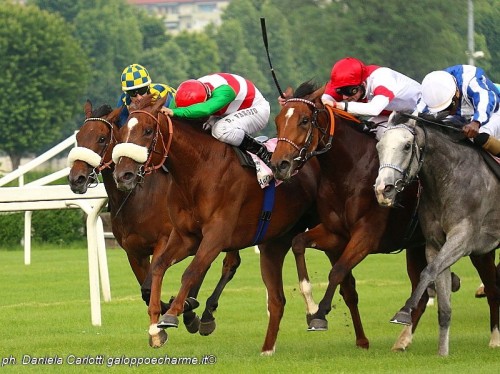 Arrivo delle Oaks d'Italia  2015 a San Siro Milano Galoppo