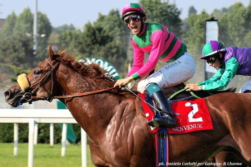 Benvenue (Sc.Incolinx) vince il Gran Premio di Milano 2014