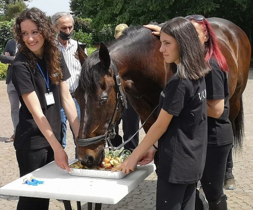 Varenne mangia la torta di mele e carote del suo 27°compleanno. Dietro di lui il suo proprietario Enzo Giordano