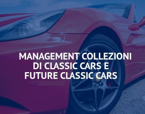 FED management car