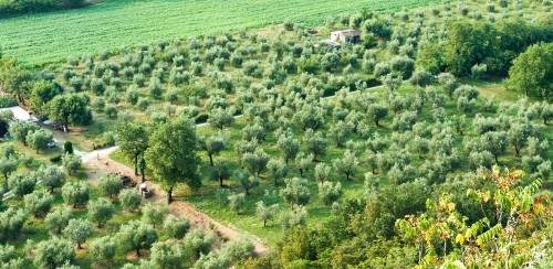 Panoramica Territorio Caldera Valtenesi
