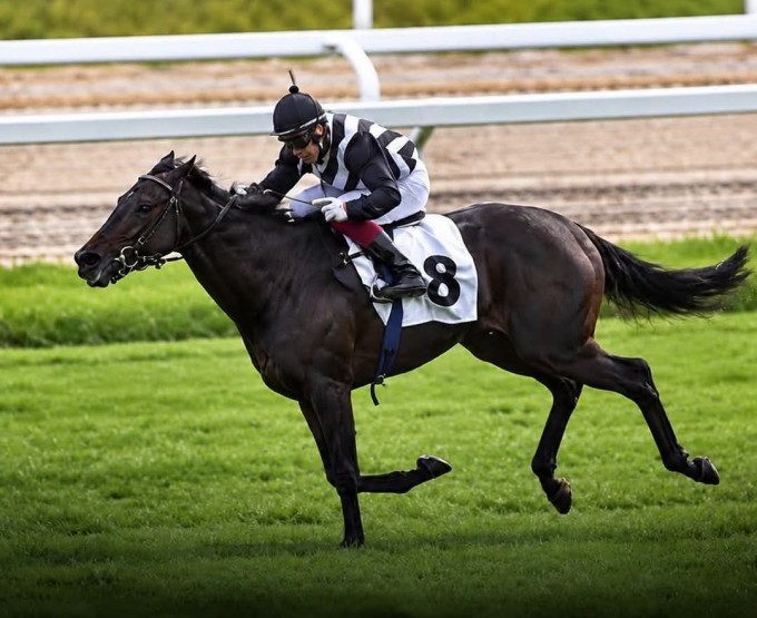 stingray-con-in-sella-dario-di-tocco-vince-alla-grtande-il-jockey-club-di-milano-25-10-2026